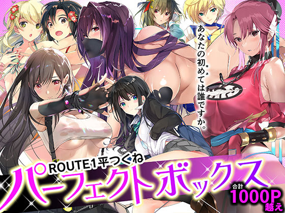 【フルRaw】ROUTE1 平つくね パーフェクトボックス【d_359811】