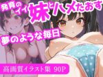 【フルRaw】発育のイイ妹とハメたおす夢のような毎日【d_688509】